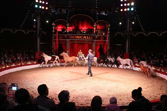 nur noch bis Ende 2017 wird es Pferde in der Manage geben. Fragem wie sie gehalten werden, und woher sie kommen, wie alt sie seine und mehr konnte Karl Trunk dem Publikum beantworten (&copy;Foto:Martin Schmitz)